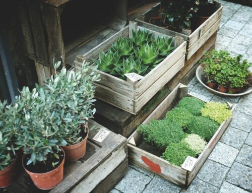 Porch Plant Crates