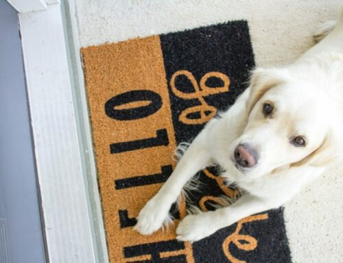 Porch Pup on Doormat