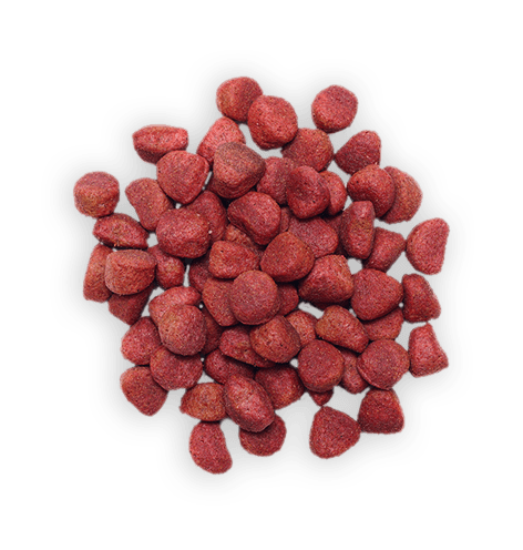 Dog food food-transparent-16